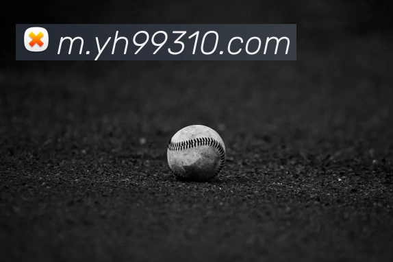 奖项证书